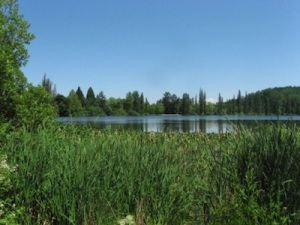 Steilacoom-5-Waughop-Lake
